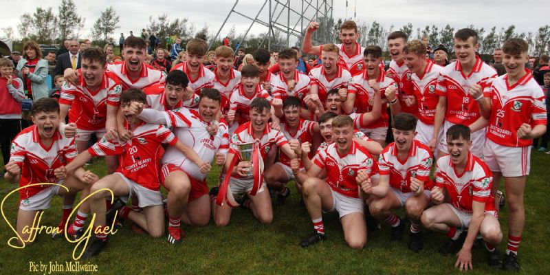 Minor Hurling Champions 2019 (Pic from The Saffron Gael)