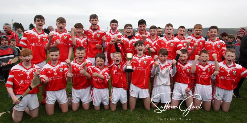 Congrats to the u14 boys NA feile Champions (Pic from The Saffron Gael)